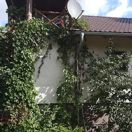Oaza Villa *
